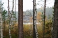 Teici  2013_ 144.jpg