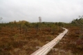Teici  2013_ 139.jpg