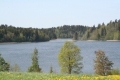 IMG_9256.JPG