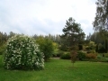 DSC06910.JPG