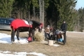 IMG_5178.JPG