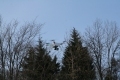 IMG_5419.JPG