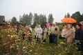 IMG_7488.JPG