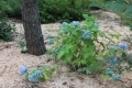 IMG_3190.JPG